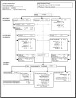 Flow Chart Report